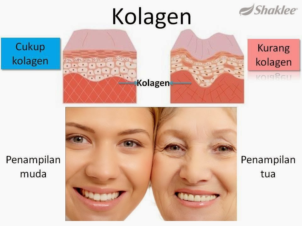 Apakah Sebenarnya Kolagen Dan Apa Fungsinya? Apakah Sebenarnya Kolagen Dan Apa Fungsinya?