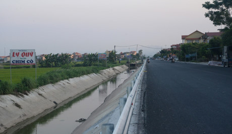 Ve Ha Nam thuong thuc mon 'chim to dan' - Anh 11