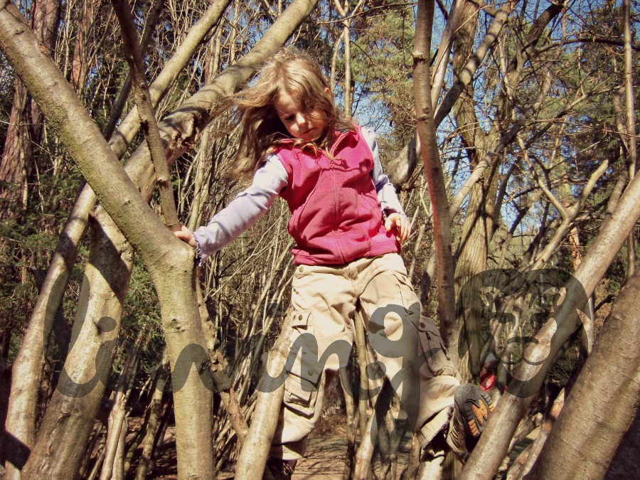 Mama Ich Wunschte Ich Ware Ein Madchen Kugelfisch Blog Der