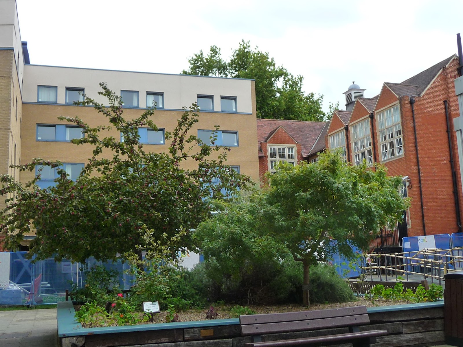 Tales in Light Children's Book Illustration Summer School 2017, Anglia