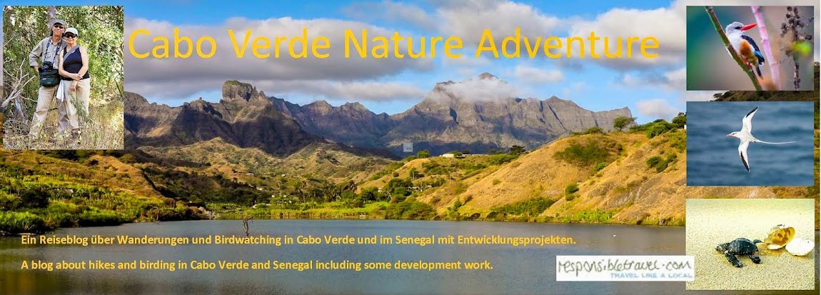  Cape Verde Nature Adventure