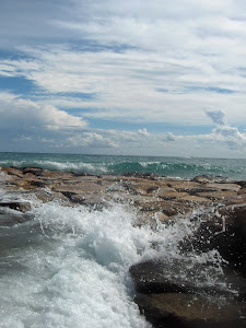 WEB DONDE SE CANALIZAN MUCHOS INFORMES, DOCUMENTOS, VIDEOS, ETC SOBRE BENEFICIOS AGUA DE MAR