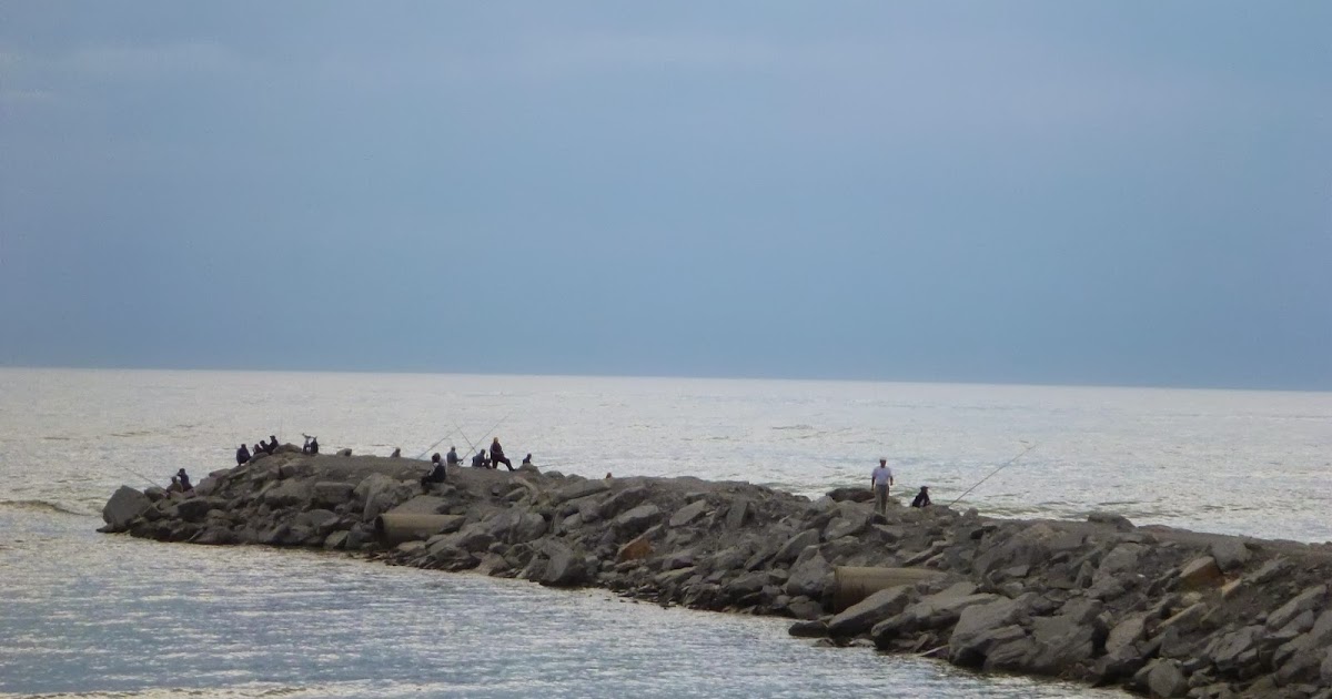 Остров морской бирючок в каспийском море