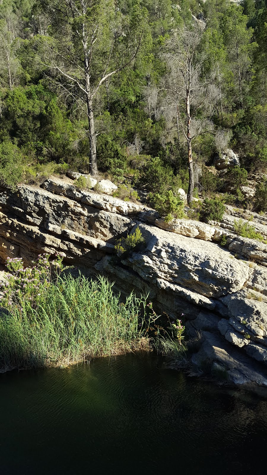 030717-#GEOCAHING #RUTA #CHARCA #RAL #CORTES DE #PALLÁS