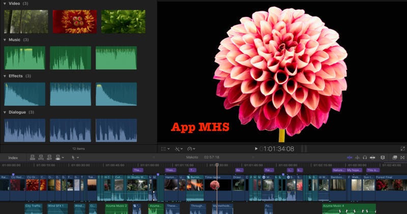 Download final cut express Download final cut express