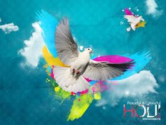 holi images hd holi images hd