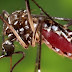 SAÚDE / País terá neste sábado Dia de Mobilização para Combate ao Aedes aegypti