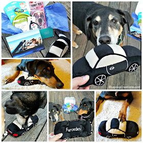 Puptown Girl dog mom subscription box rescue adopt