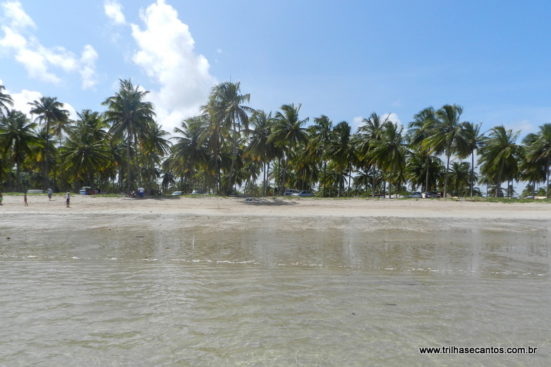 Melhores praias do Brasil Melhores praias do Brasil