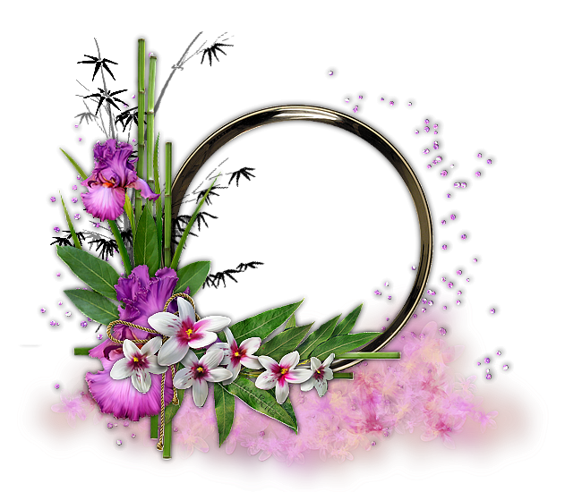 My Image 11