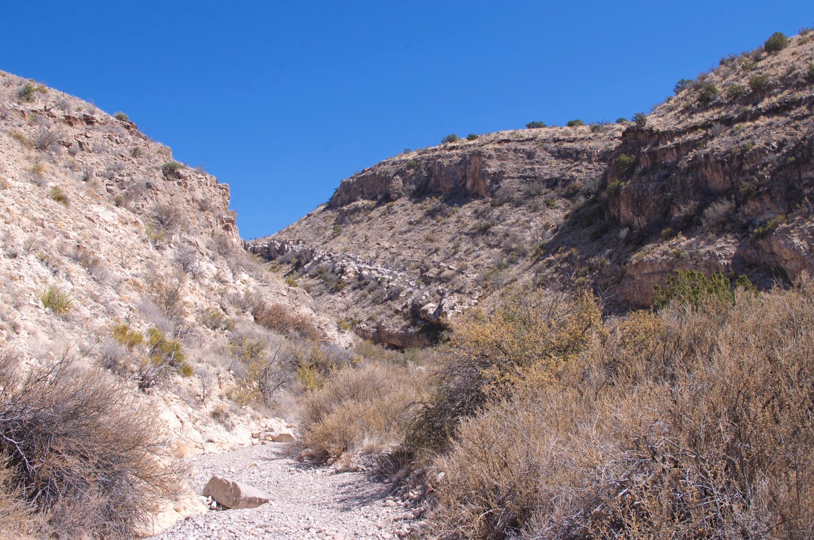 Southern New Mexico Explorer Cañoncito de la Uva Stallion Wilderness Study Area