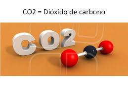 Moleculas de dioxido de carbono (CO2)
