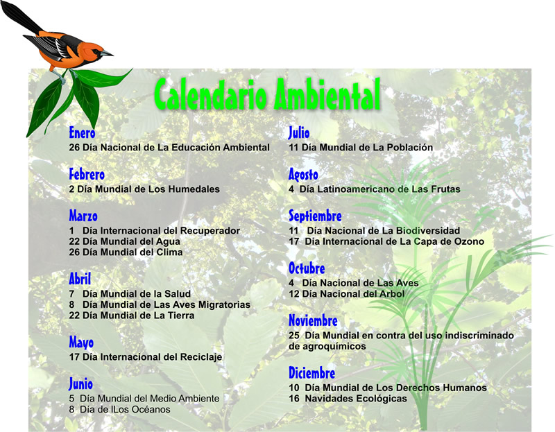 Calendario ecológico para imprimir: ¡Organiza y cuida el planeta!