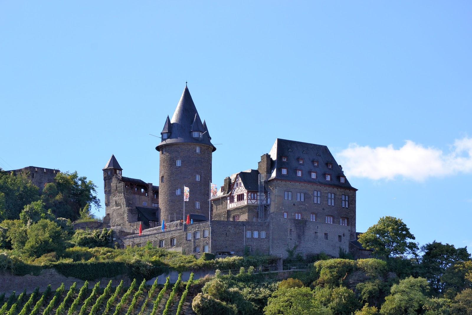 Voyage On The Castled Rhine
