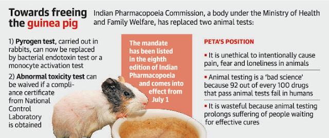 animal-free testing for drugs