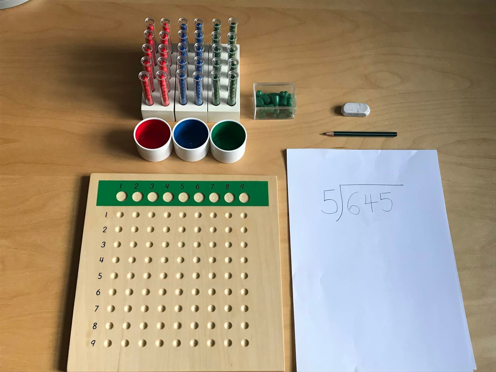 Family FECS Montessori Activity Long Division with Racks & Test Tubes