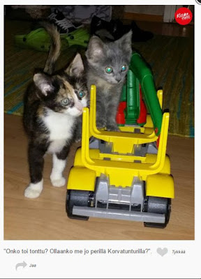 http://www.kissanvuosi.fi/kuvakisa/ Minni and Miina