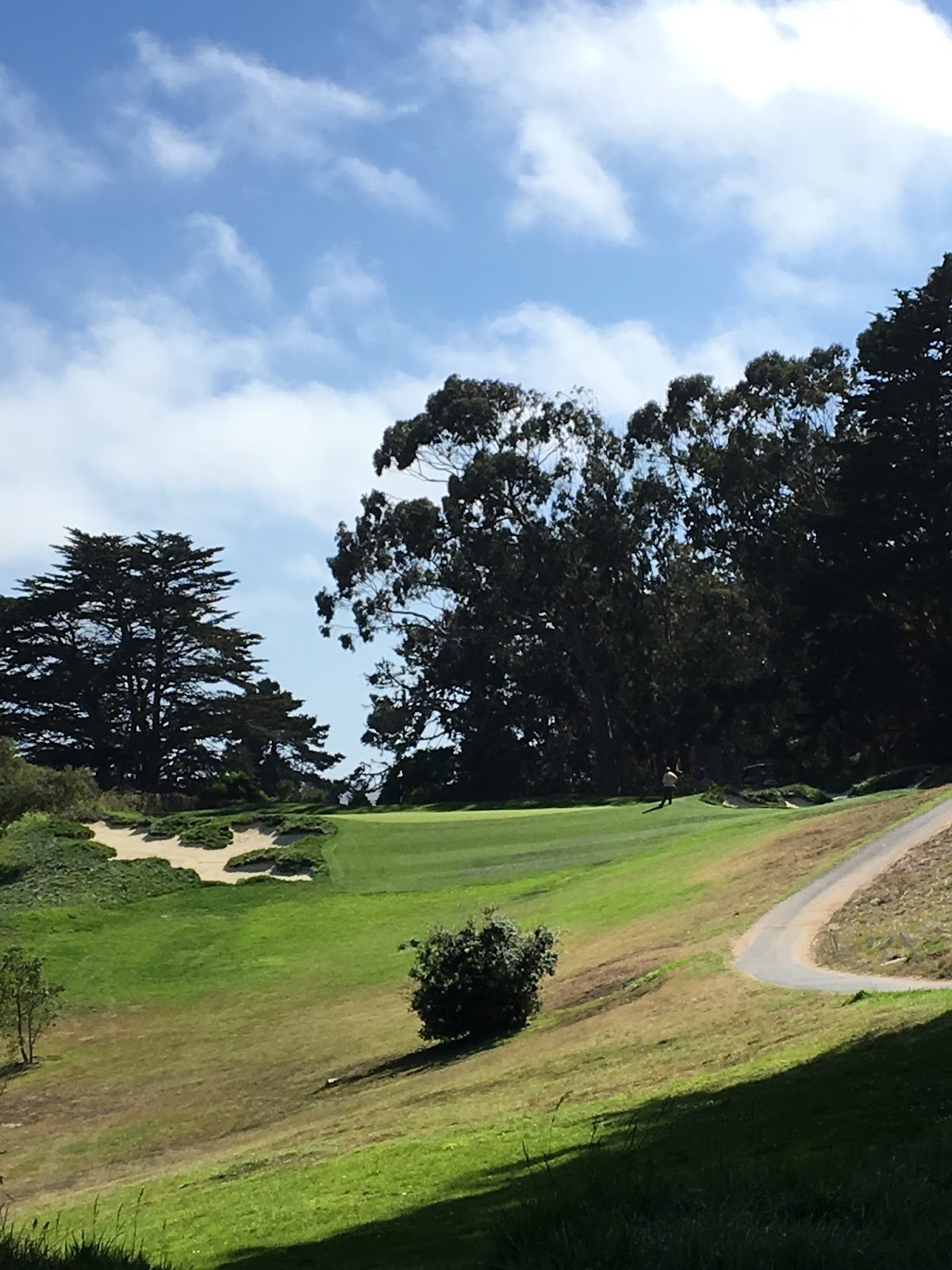 The Life of H. Ernest Chen Presidio Golf Course
