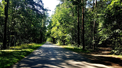 park w lublińcu, lubliniec