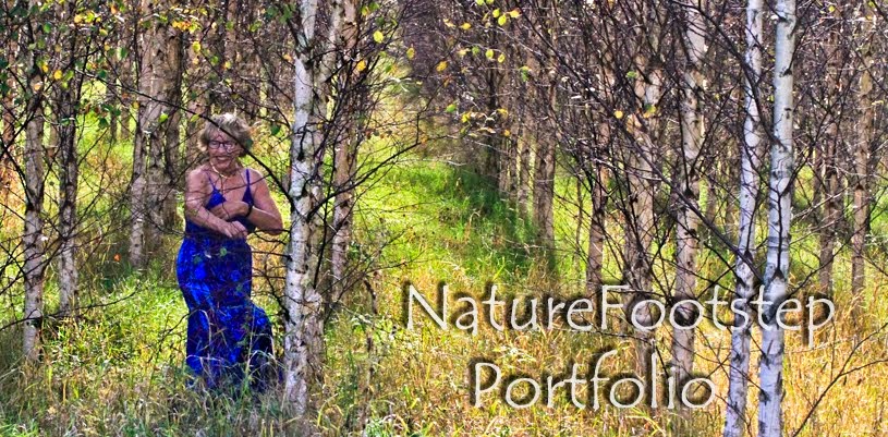 NatureFootstep Portfolio