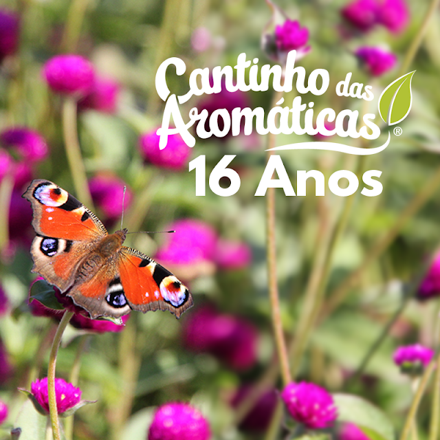https://www.cantinhodasaromaticas.pt/