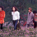 The Doors Songs Love Her Madly Lyrics Songs Lyrics And