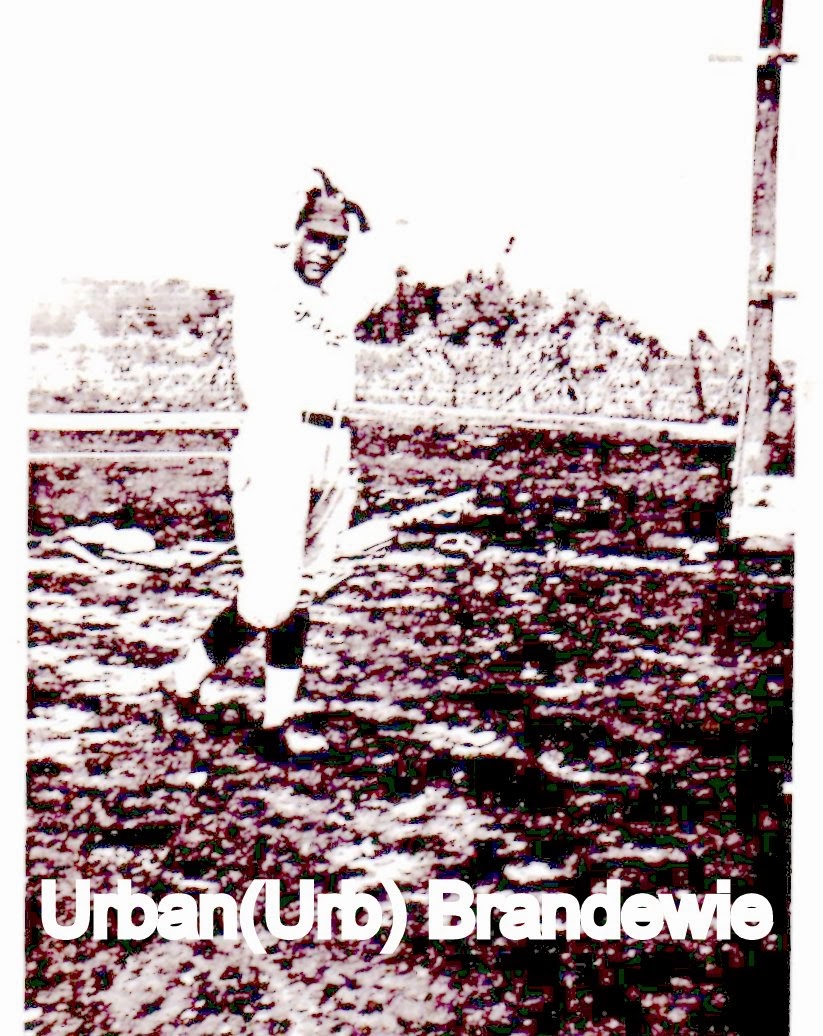 Boerger Pictorial History Ft. Loramie Baseball Team