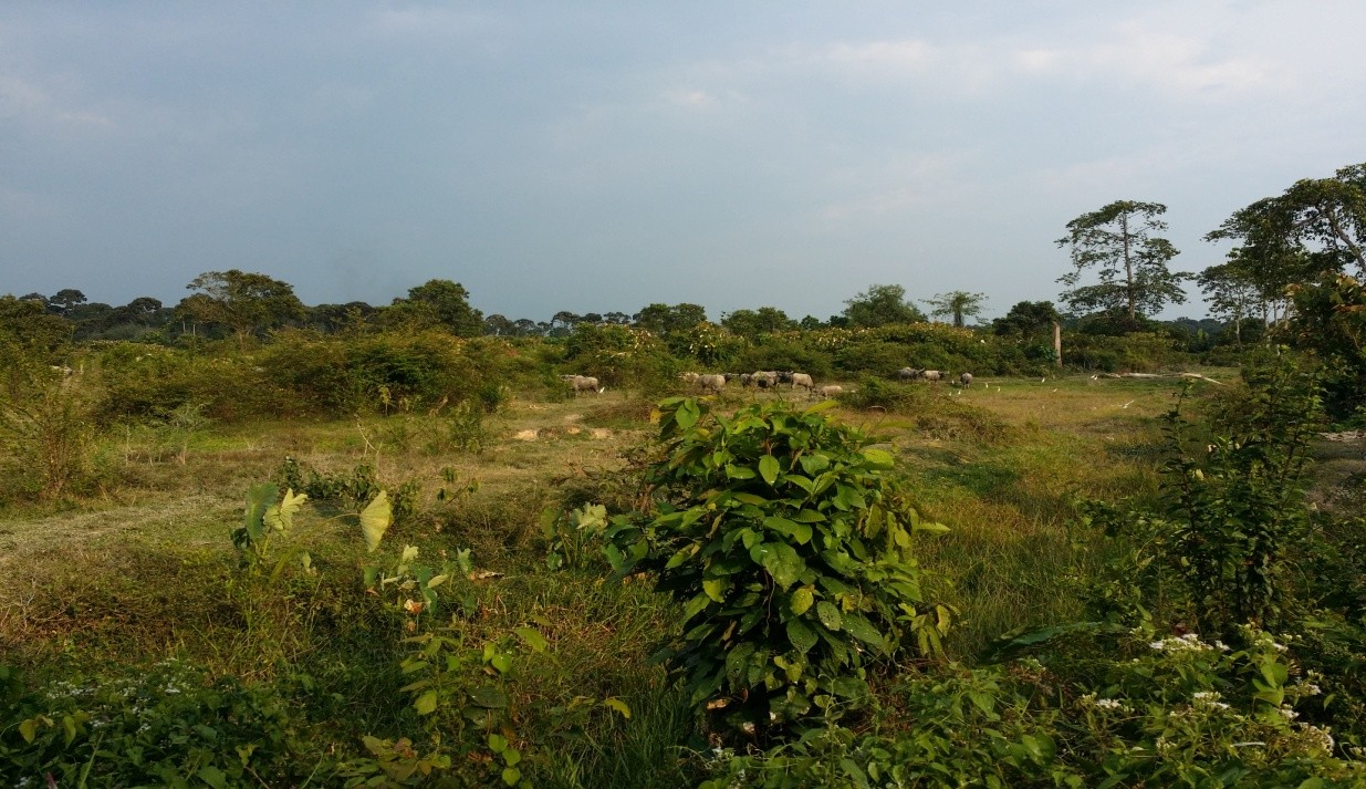Padang Changkat, Bota: RAKAN KEUSAHAWANAN