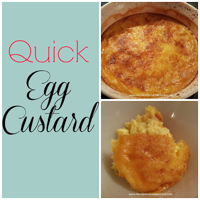 Quick Egg Custard  www.HensleeFarmAdventures.com