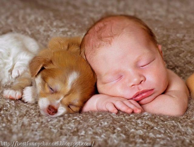  Cute baby and puppy.