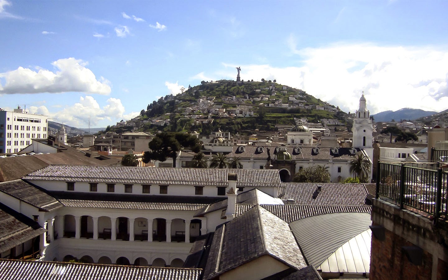 Pluma Vista Hermosa
