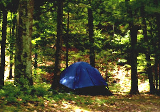 huron manistee national forests forest campgrounds michigan