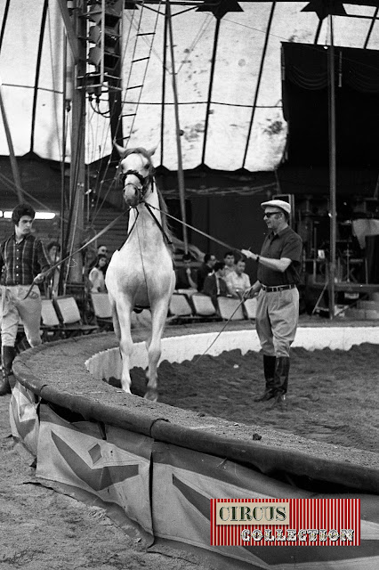 Répétition de dressage des chevaux de Fredy Knie senior  sous le chapiteau du Cirque National Suisse Knie  1970