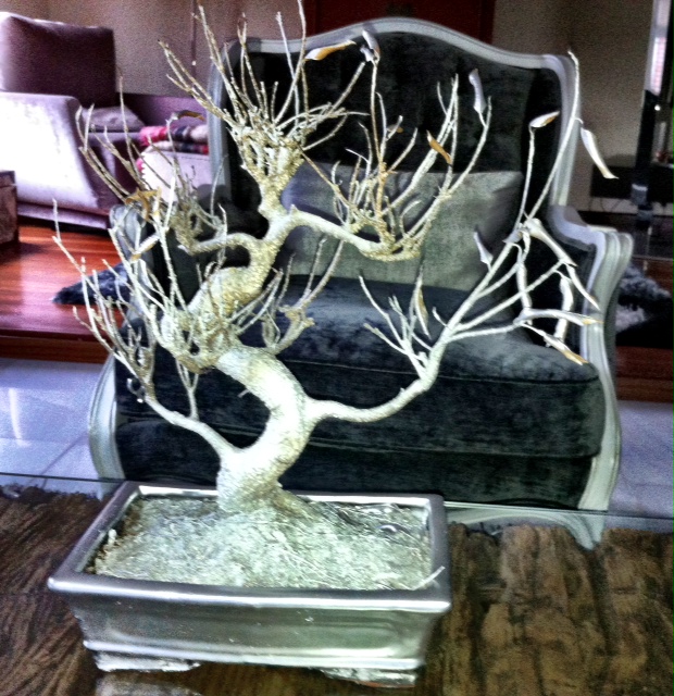 Tuneando un bonsai seco