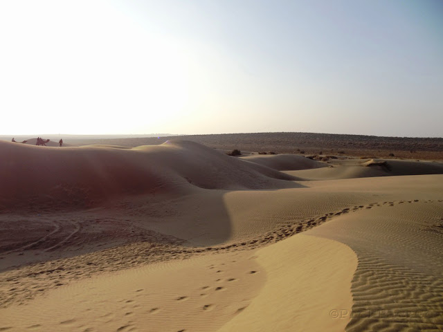 Sam Sand Dunes  - Jaisalmer, Rajasthan - Pick, Pack, Go
