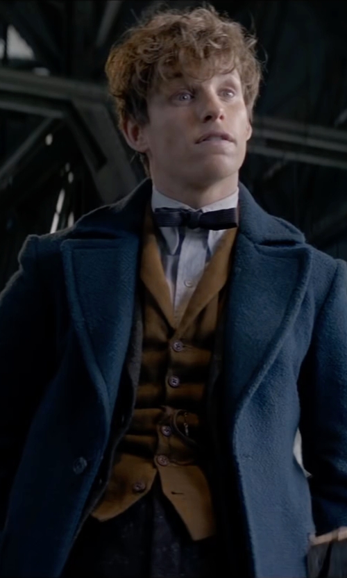 El Fénix Lector Personajeando Newt Scamander