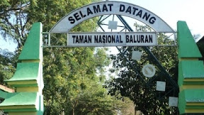 Cara ke Taman Nasional Baluran
