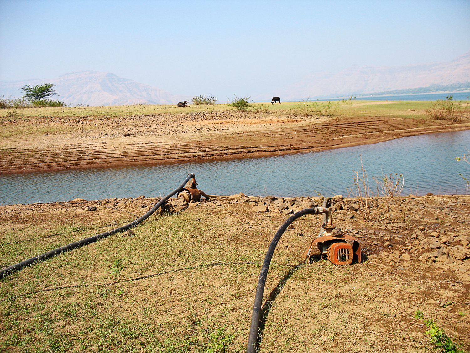 Stock Pictures Water Pump for irrigation in India