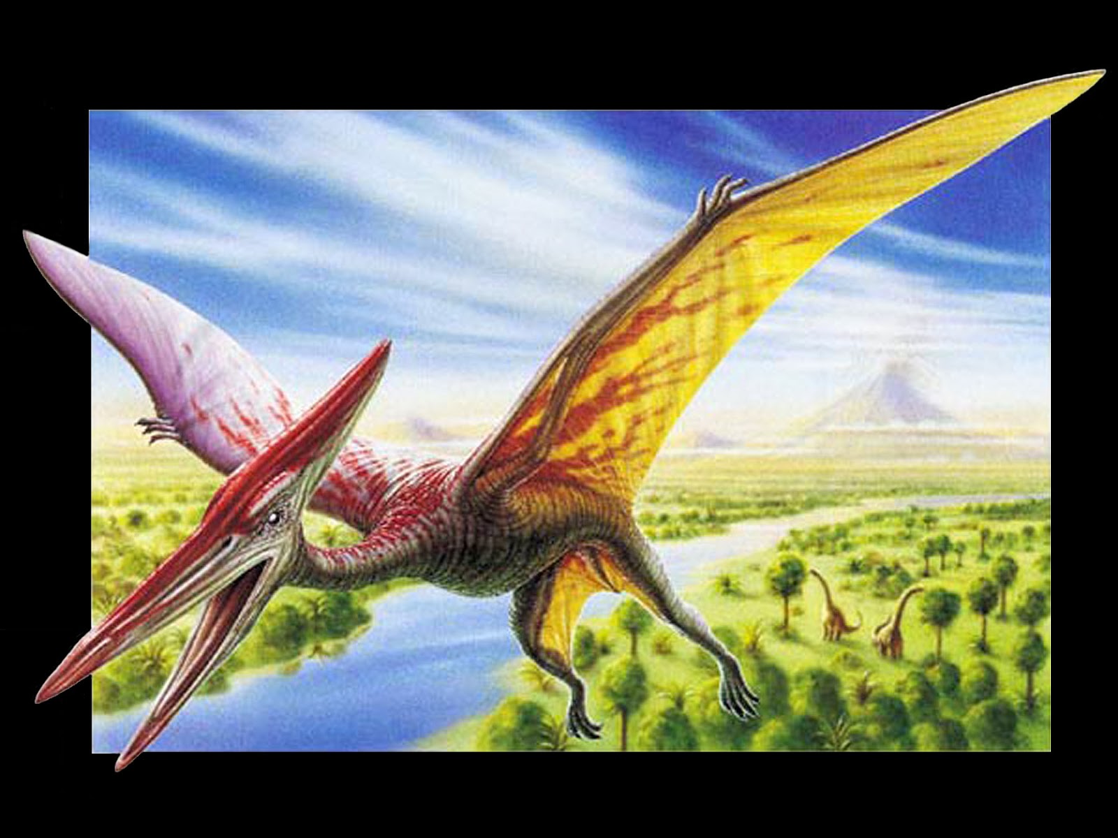 Как зовут крылатого. Птеродактиль парк Юрского периода. Птерозавры Триасового периода. Птерозавры Юрского периода. Птеранодон динозавр.