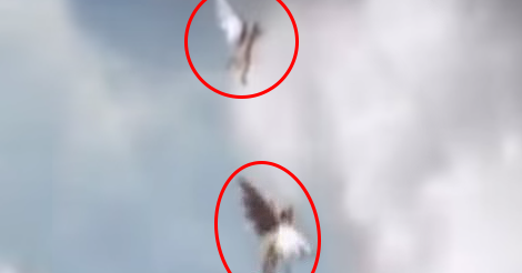 Two Angels Caught on Camera Flying in Brazil (December 2, 2014)