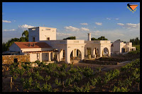 Vinos Argentina
