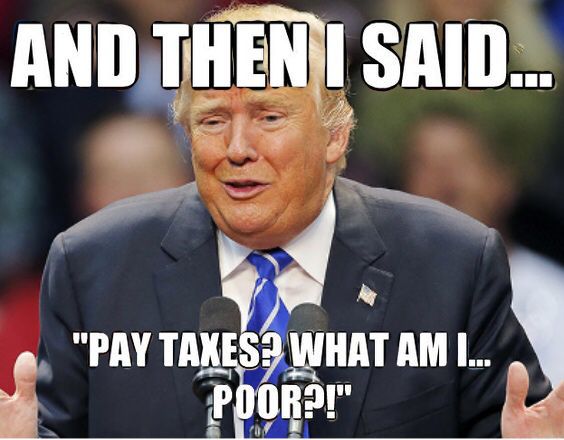 Trump tax returns