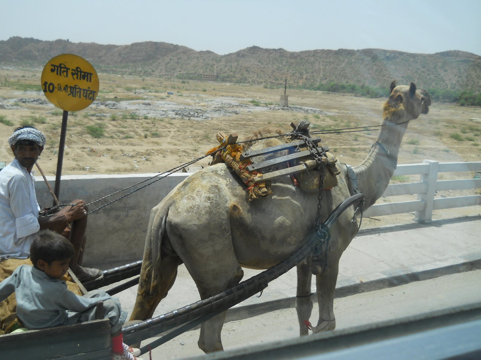 10 lines about camel cart image