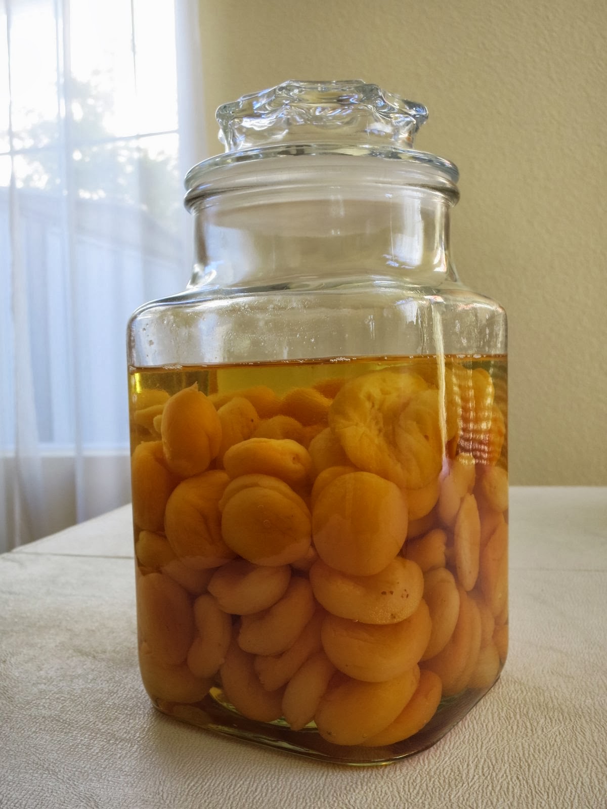 Cindy deRosier My Creative Life ApricotInfused Vodka and Vodka