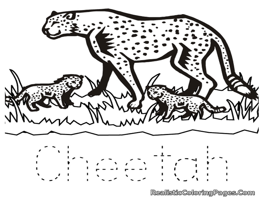 free cheetah coloring pages free coloring pages of cheetah realistic coloring pages free cheetah coloring pages free coloring pages of cheetah realistic coloring pages