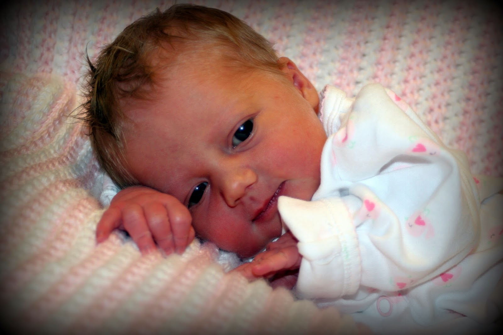 Greene Acres Hobby Farm Our Baby Girl Newborn Photo Shoot