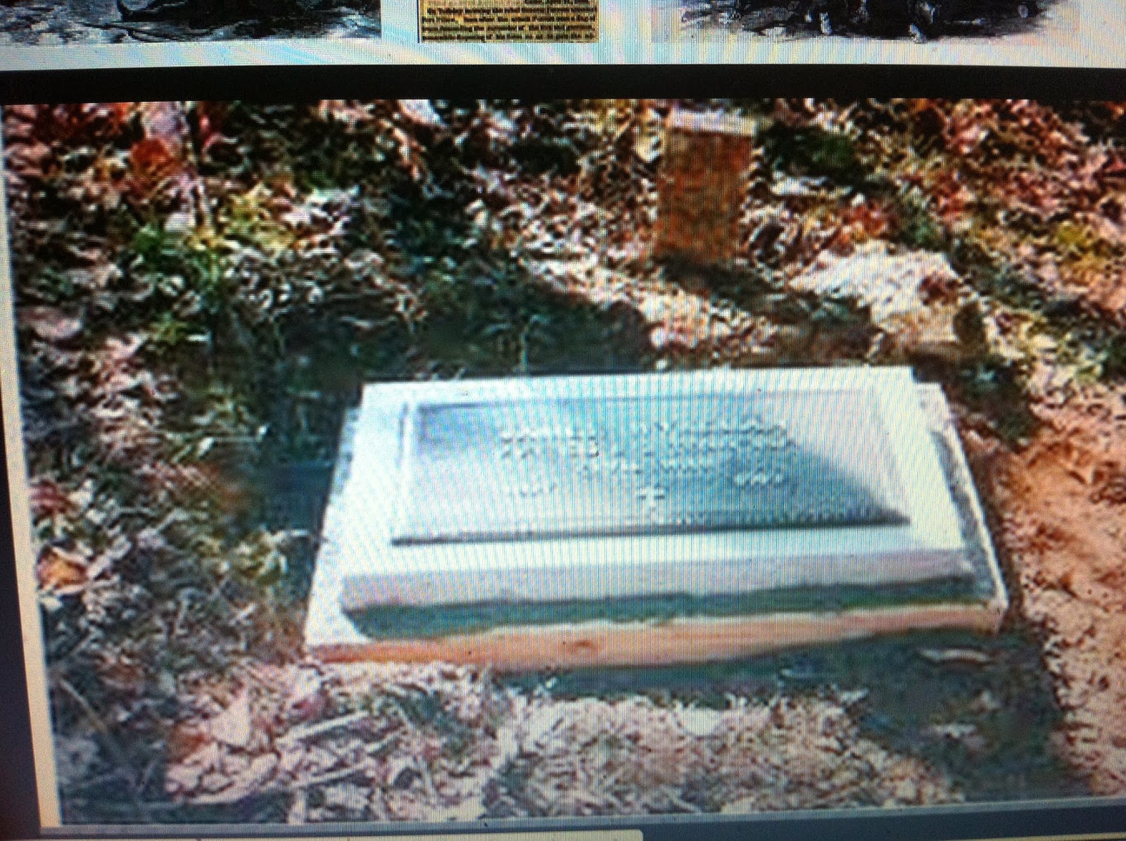 THE BLACK SOCIAL HISTORY BLACK SOCIAL HISTORY " THE FORT PILLOW