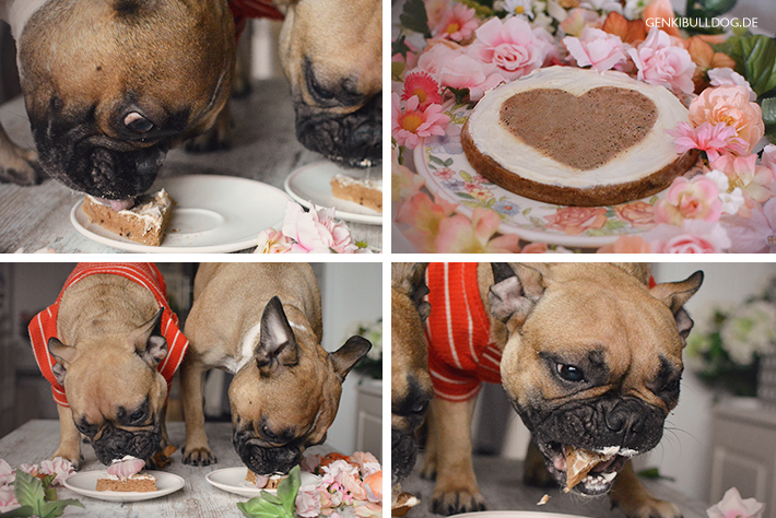 Rezept: Carobkuchen für Hunde Rezept: Carobkuchen für Hunde