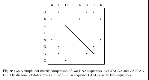 Bioinformatics is Fun: The dot matrix / Dot plot -Introduction