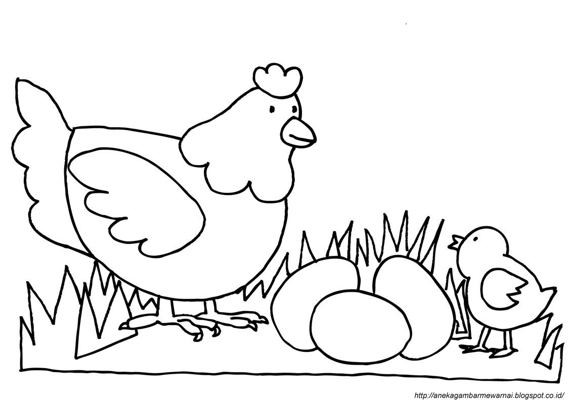 Mewarnai Tk Aba 5 Memancing Anak Ayam Induknya Gambar Mancing